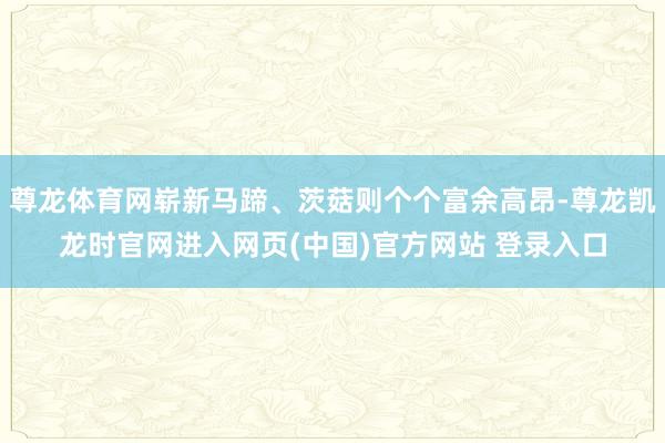 尊龙体育网崭新马蹄、茨菇则个个富余高昂-尊龙凯龙时官网进入网页(中国)官方网站 登录入口